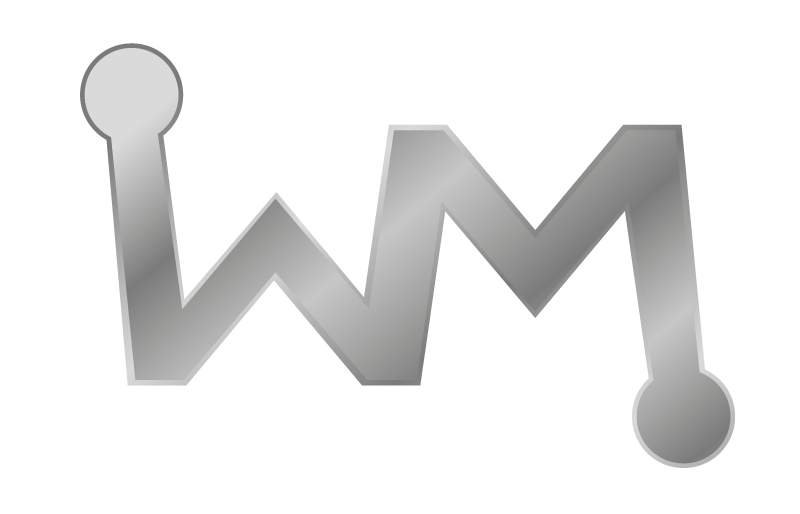 Wise Meetings logo